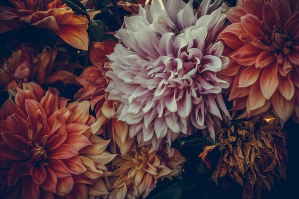 Les essentiels des objets gonflables pour animer vos événements !