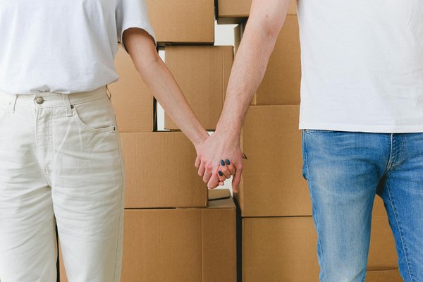 Ours en roses : un cadeau éternel pour les cœurs sensibles